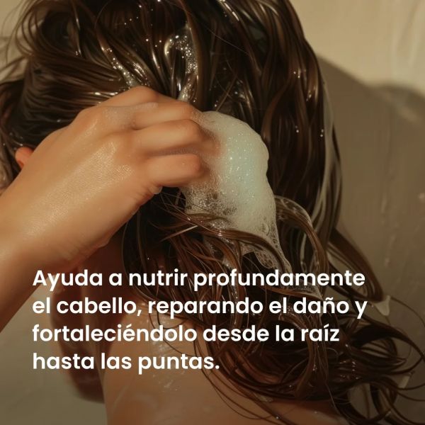 CHAMPÚ SEDAL SHAMPOO AGUA MICELAR Y B5 X 620ML