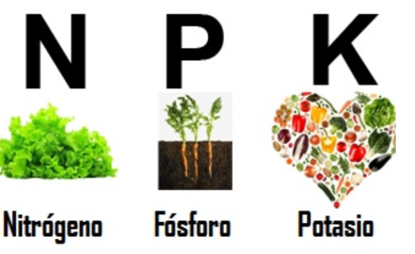 FERTILIZANTE NPK 50Kg