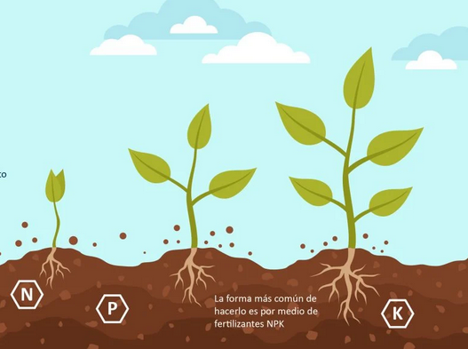 FERTILIZANTE NPK 50Kg